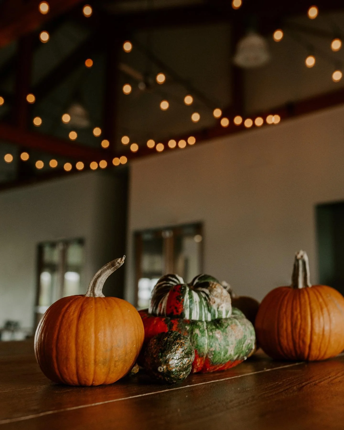 Happy Thanksgiving from our table to yours 🌾🥬🥧
 
With harvest season ending as winter frost sets in, we're thankful that this year could include further steps forward in our life-giving farm-to-table offering. As the land begins to rest, we recall