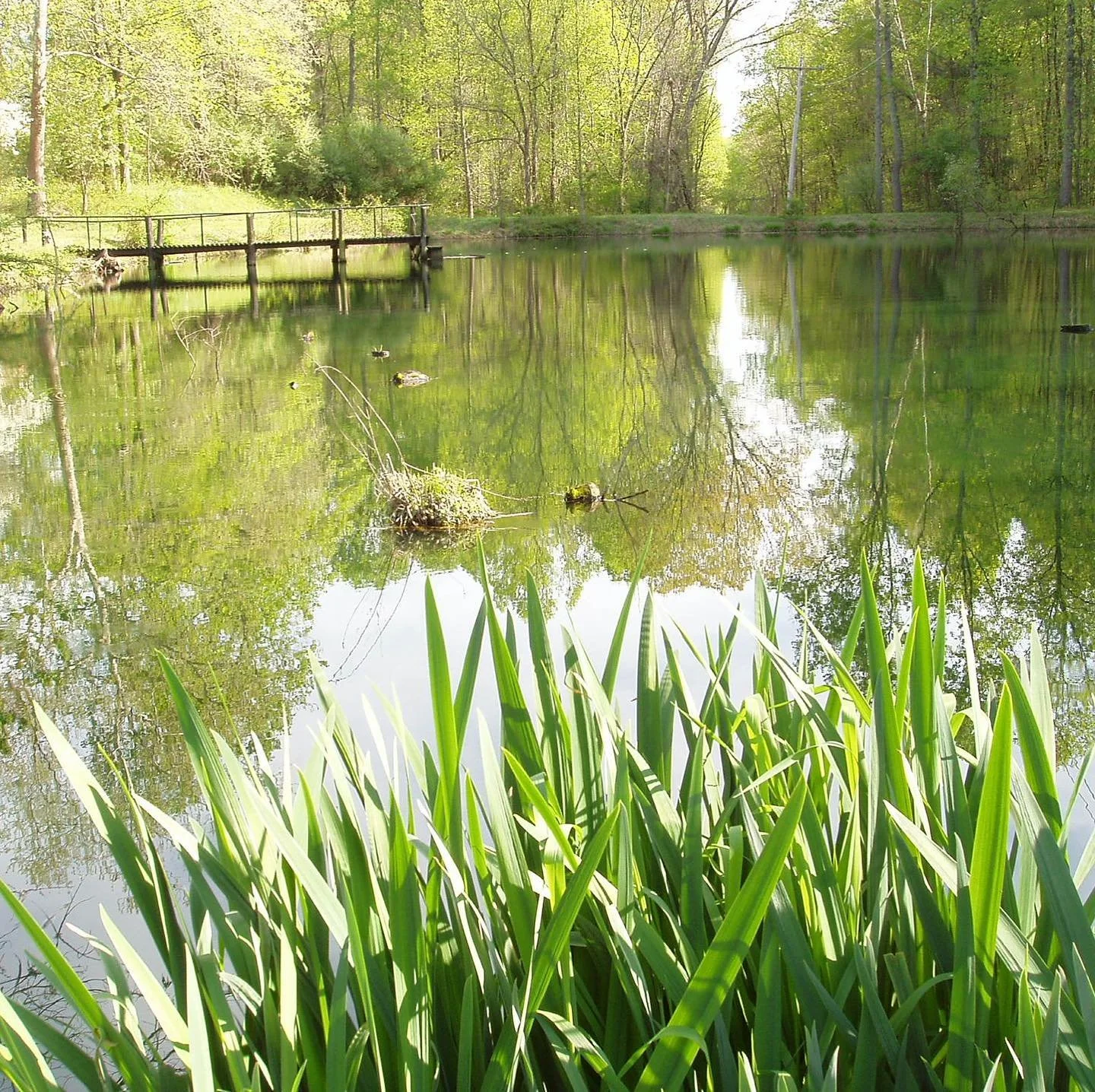 We&rsquo;re excited to be building a new dock in anticipation of our August 1 reopening!  #visitmeadowkirk #middleburgva #visitloudoun