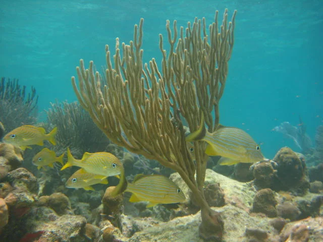 IMG_2746.jpg