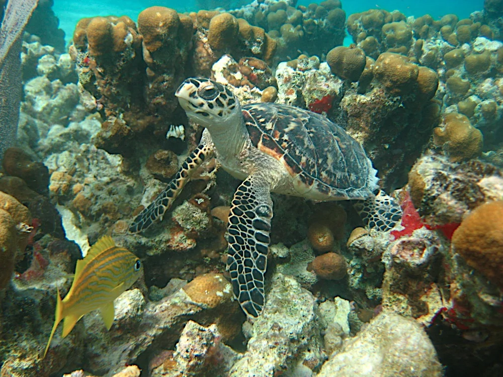 IMG_5487.jpg