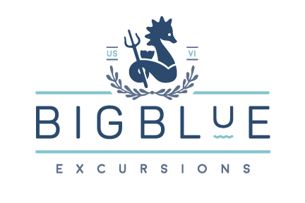 Big Blue Excusions