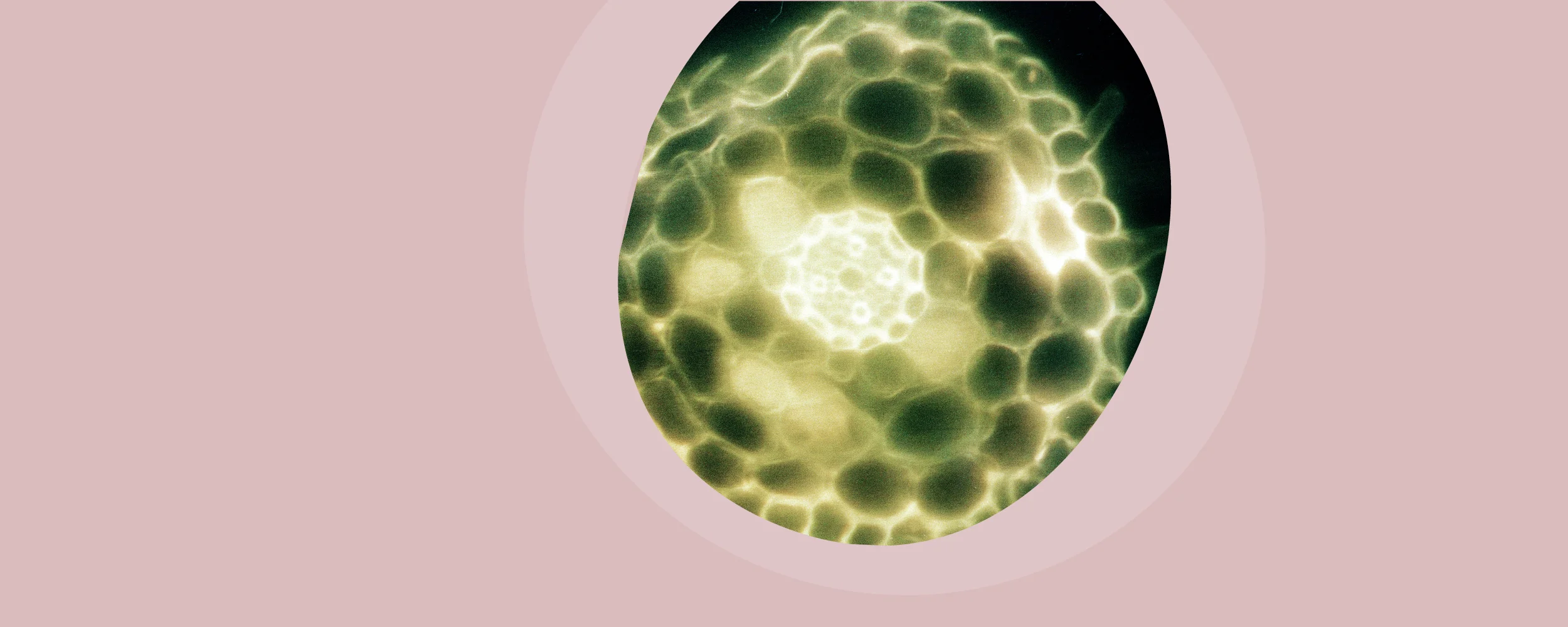 10602 2500x600 farver til web HR20.jpg