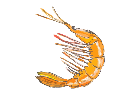 ebi.png