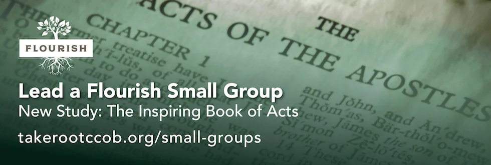 Small Group Leader 2.jpg