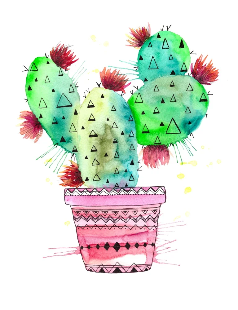 Cactus in a pot
