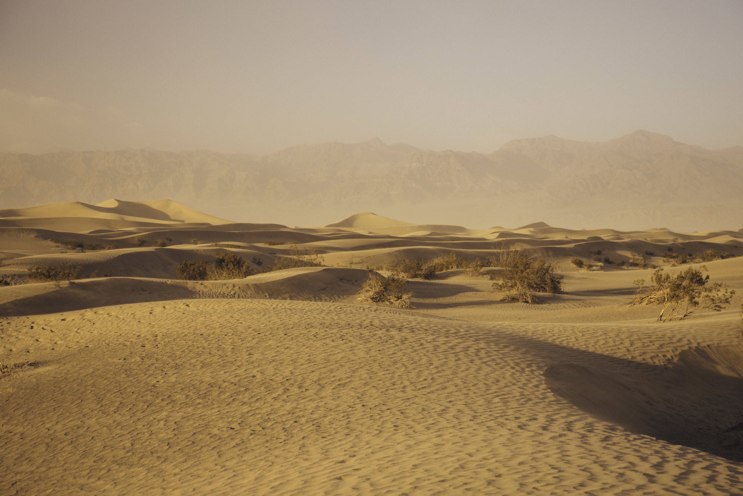 Mesquite flat sand dunes / California
