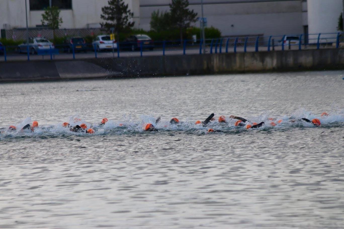 13248550_497047960496391_2794603935326377263_o.jpg