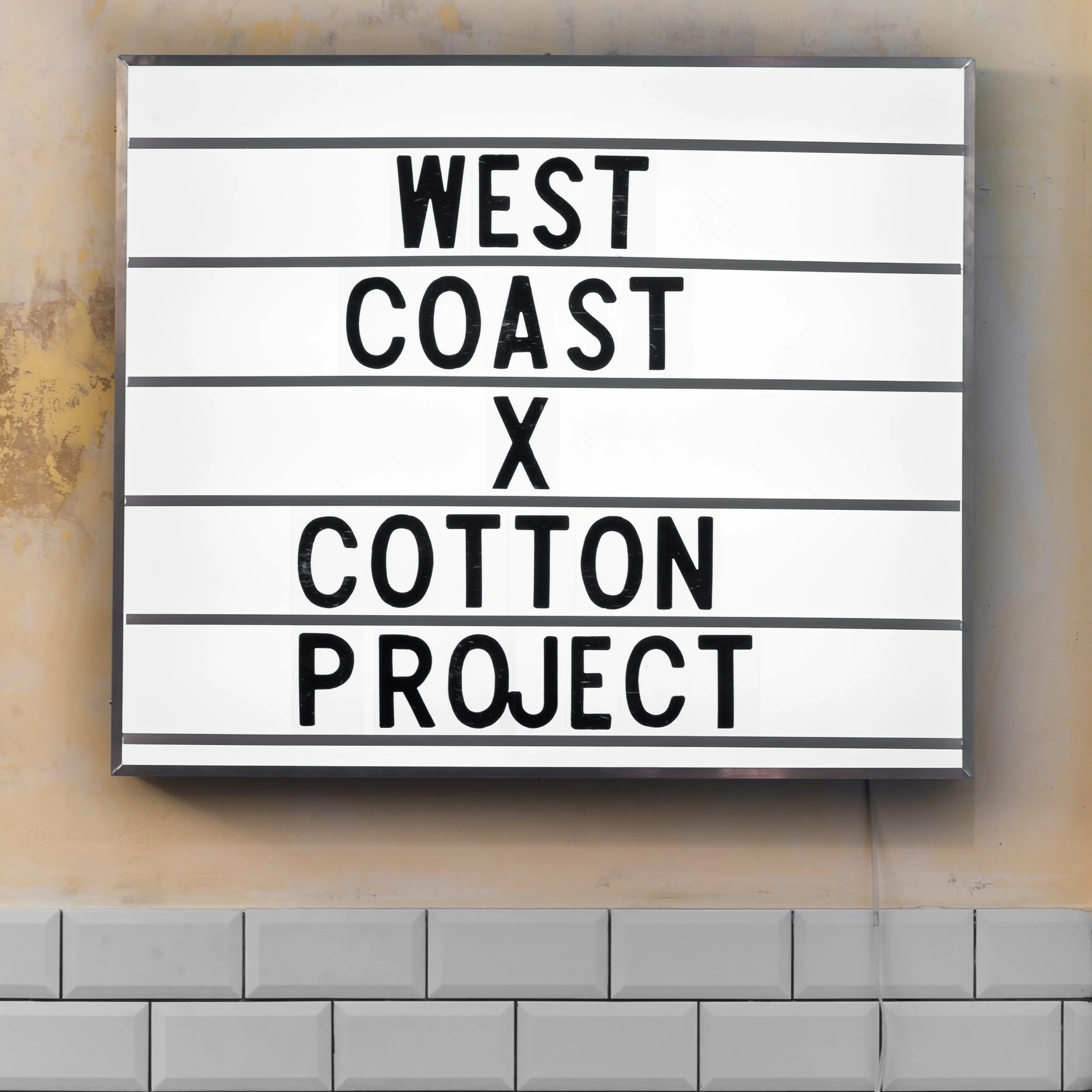 cotton-7.jpg