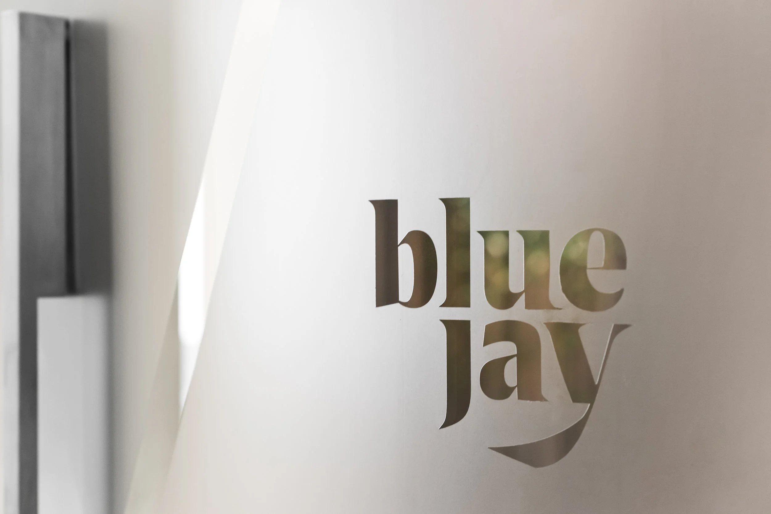 Blue Jay - Decio Navarro Arquitetura