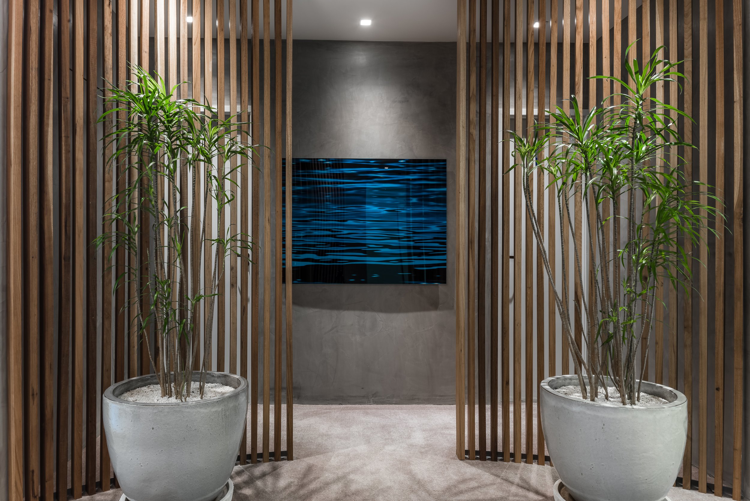 Blue Jay - Decio Navarro Arquitetura