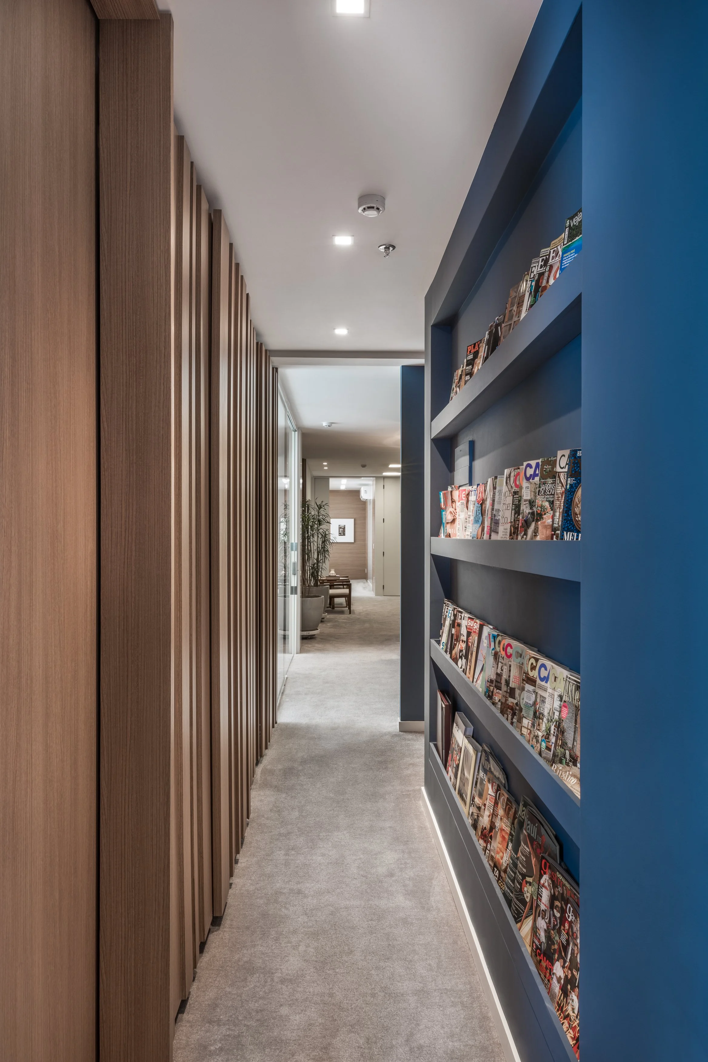 Blue Jay - Decio Navarro Arquitetura
