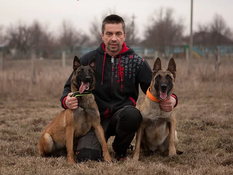 Dogs_01.jpg