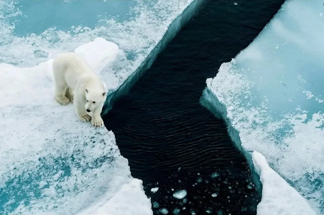 Лезвие Трансформации