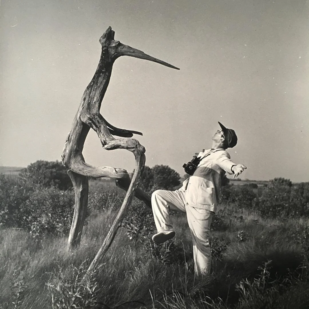 До жестких форм