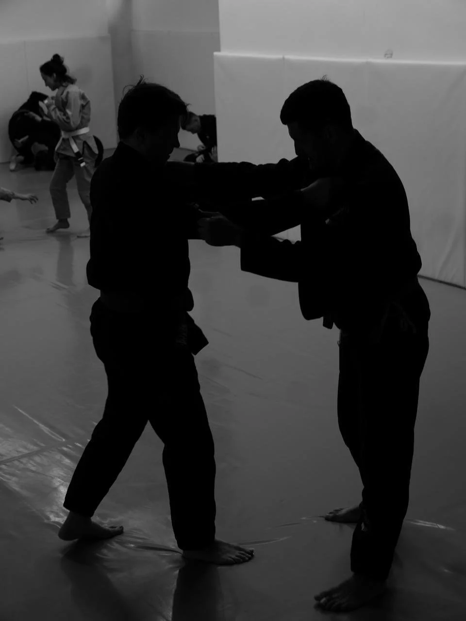 Захват Себя