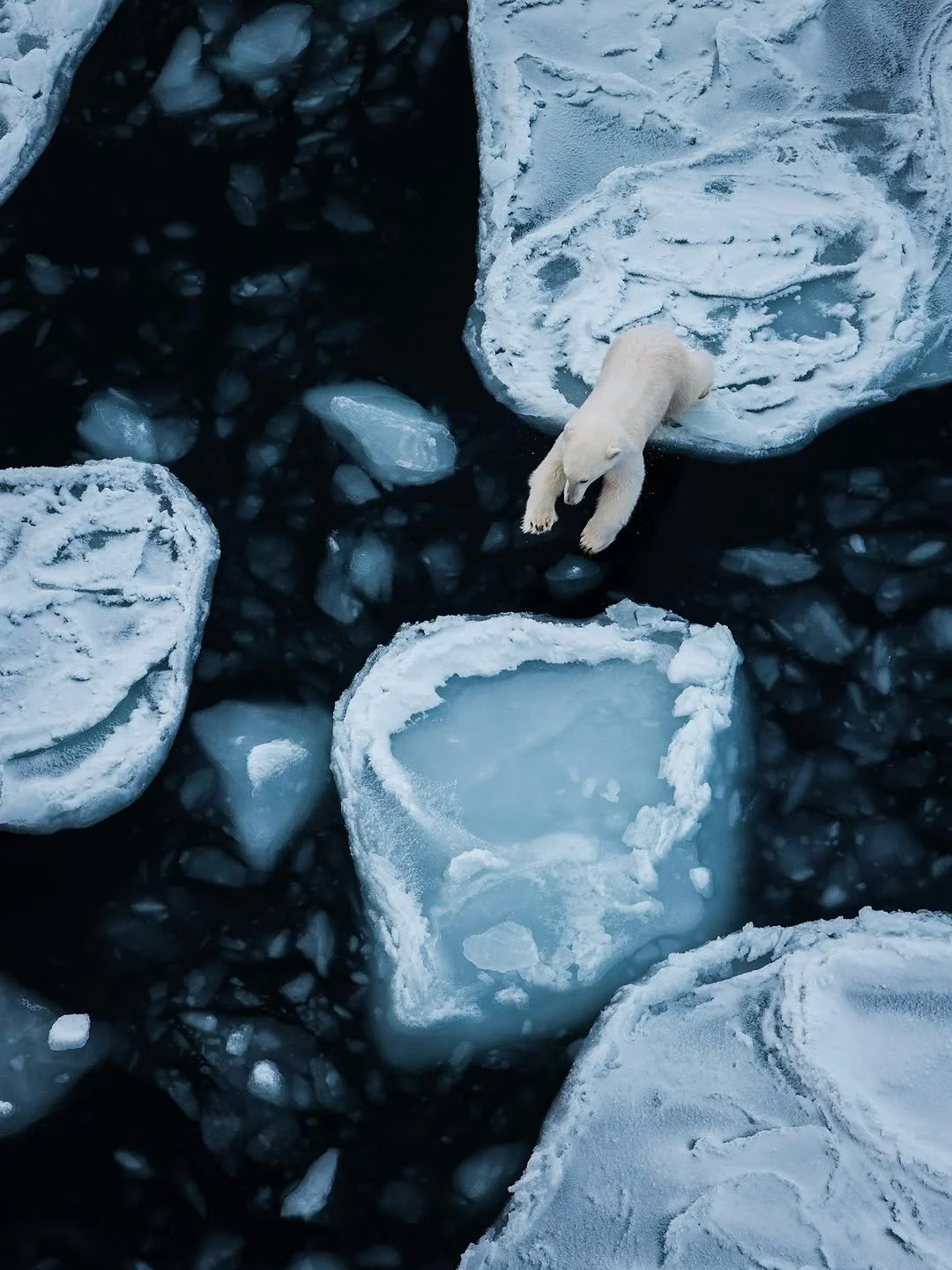 Безумие — и есть путь