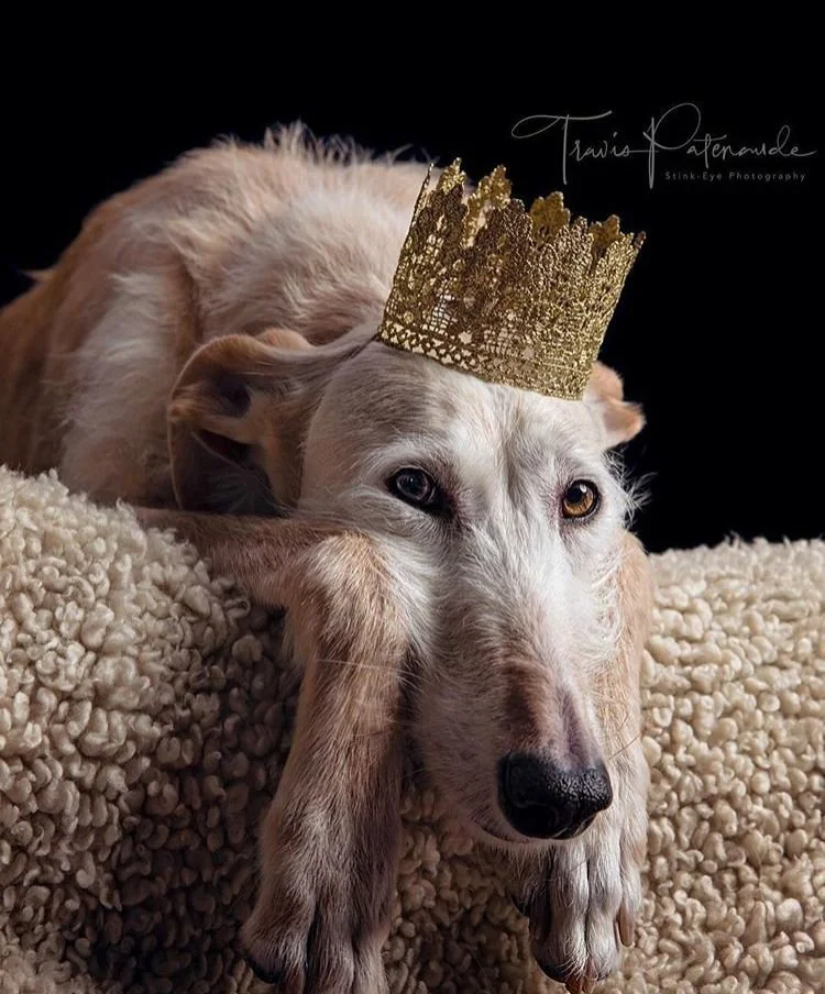 Король внутри