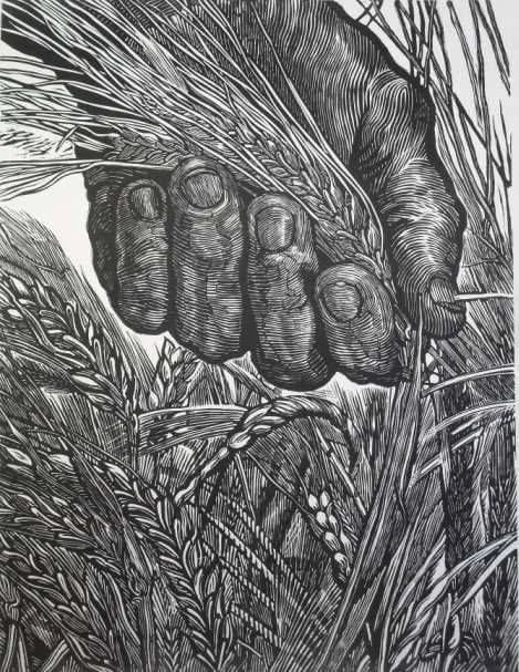 Man takes ears of wheat by Ángel Bracho