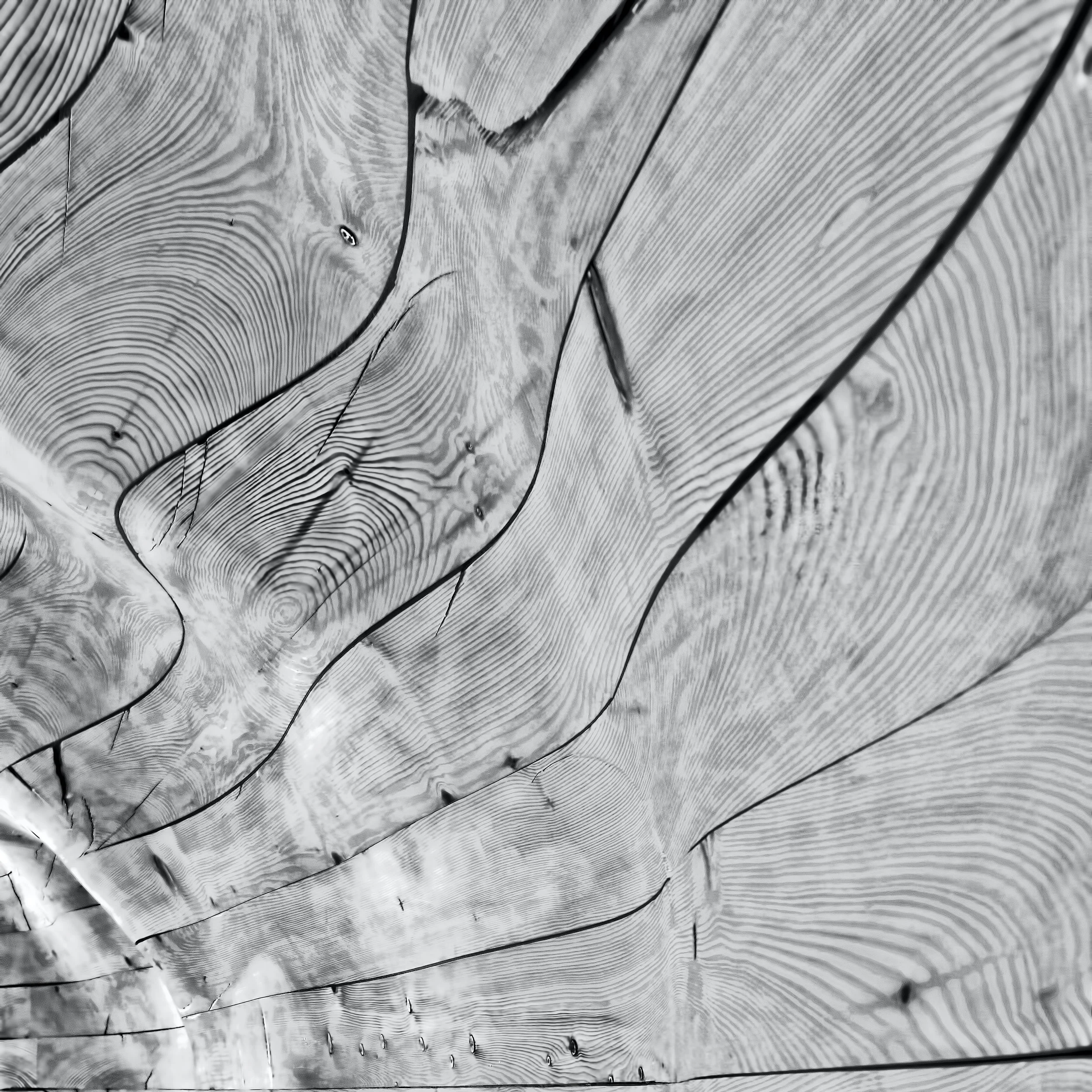 Black and white wood grain pattern