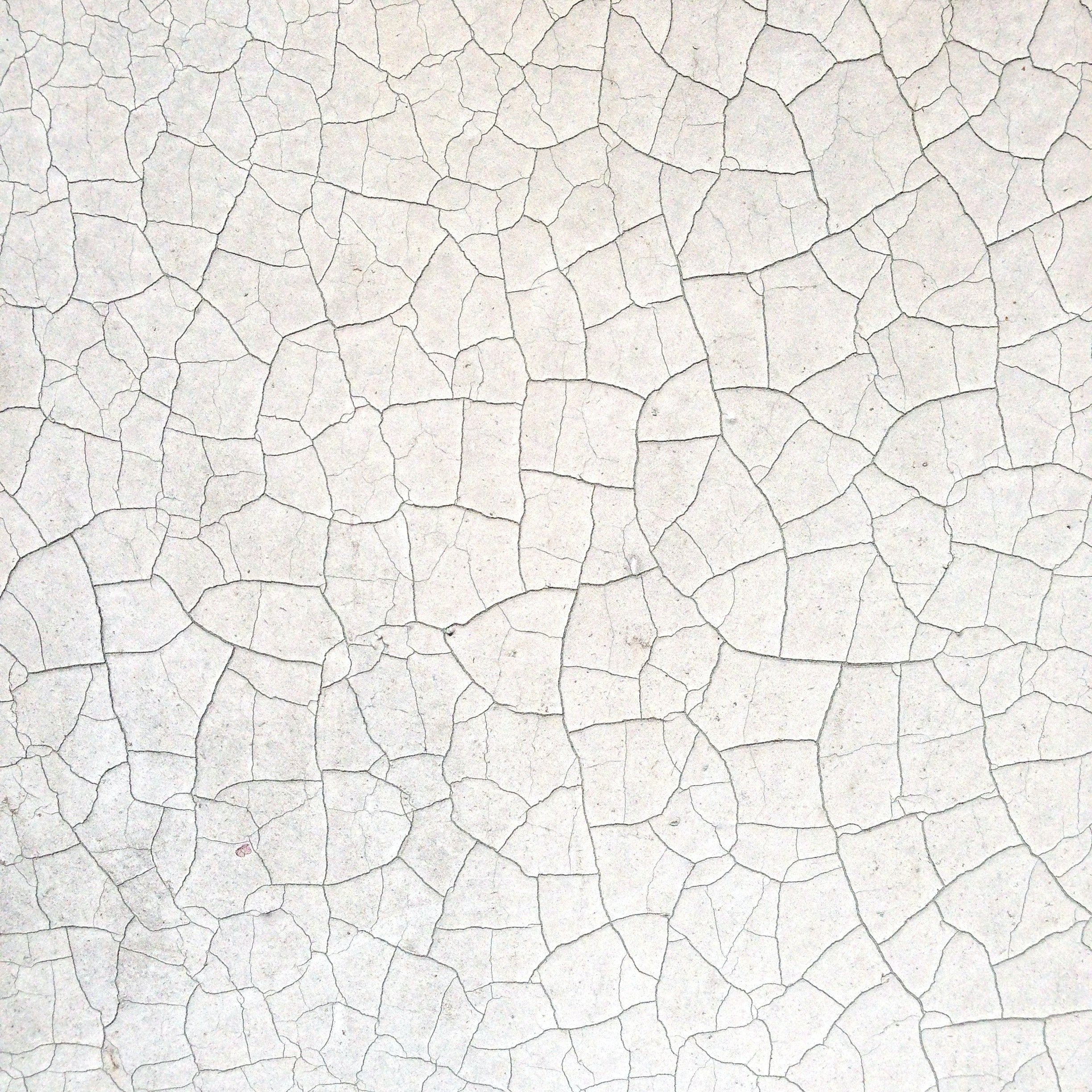 Black and white cracked ground pattern