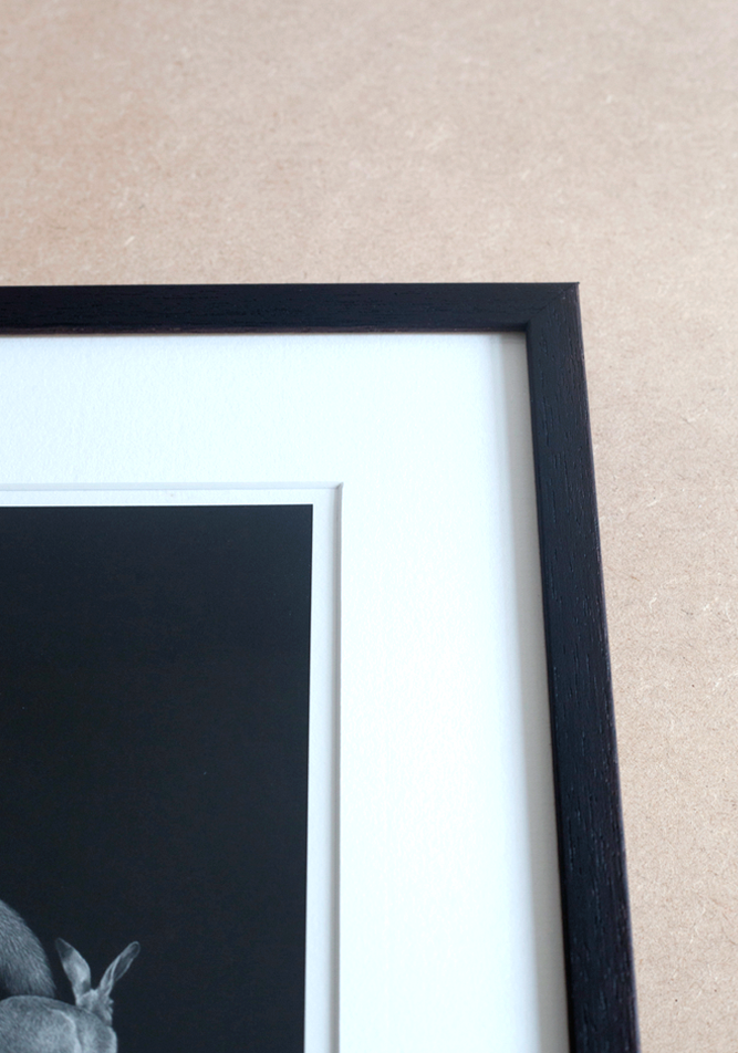 Fox Framing Window Mount