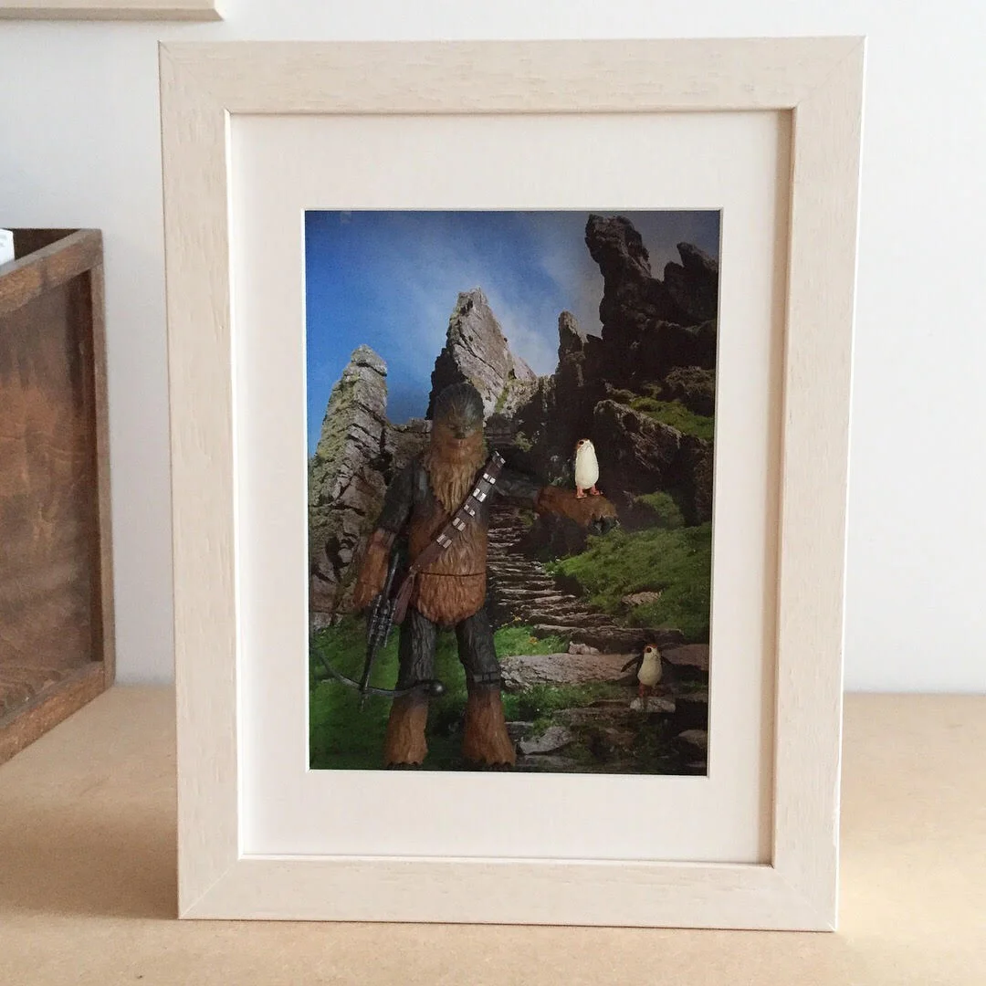 foxframing3dchewie3.jpg