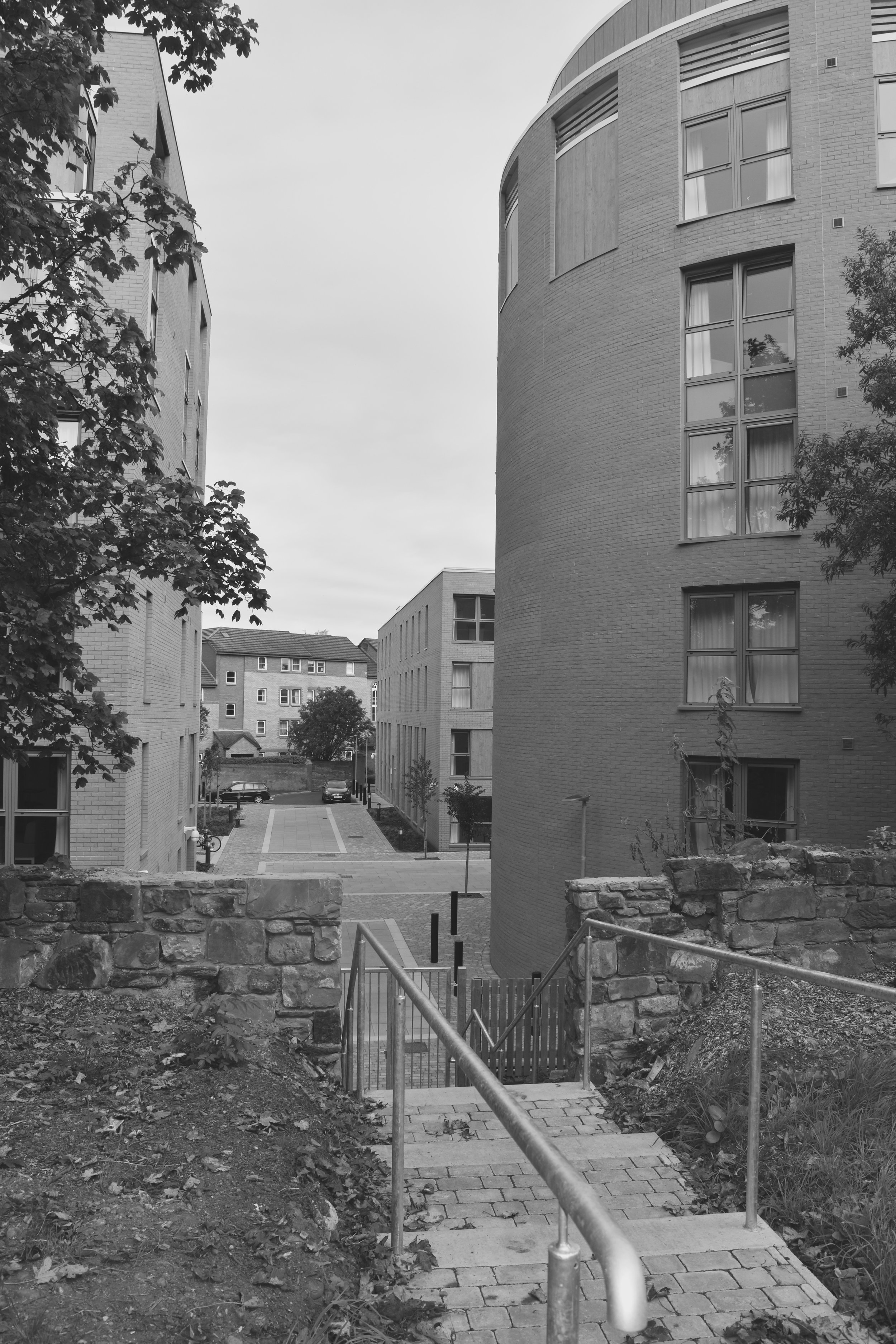 DSC_0149.jpg