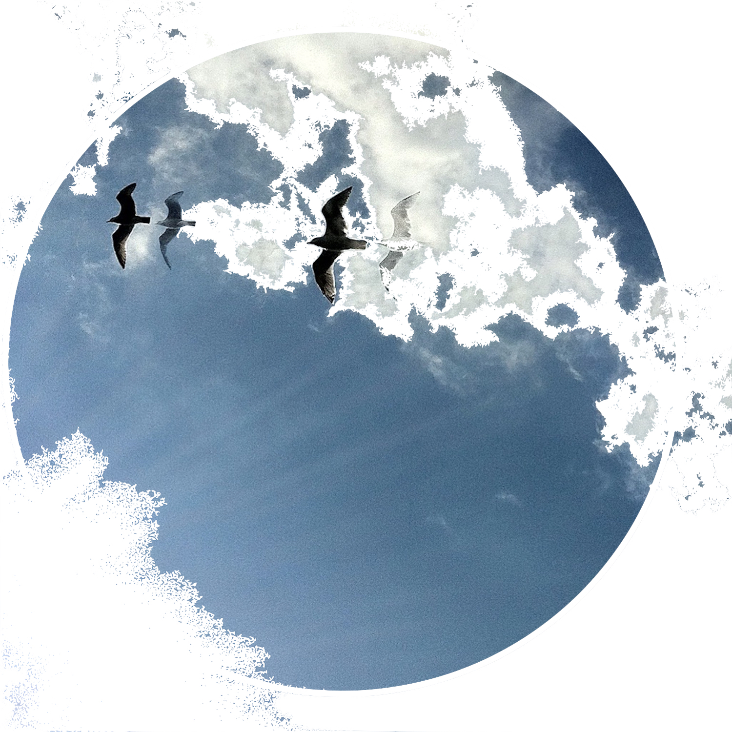 humanKINDER-birds-moon-logo-2016.jpg