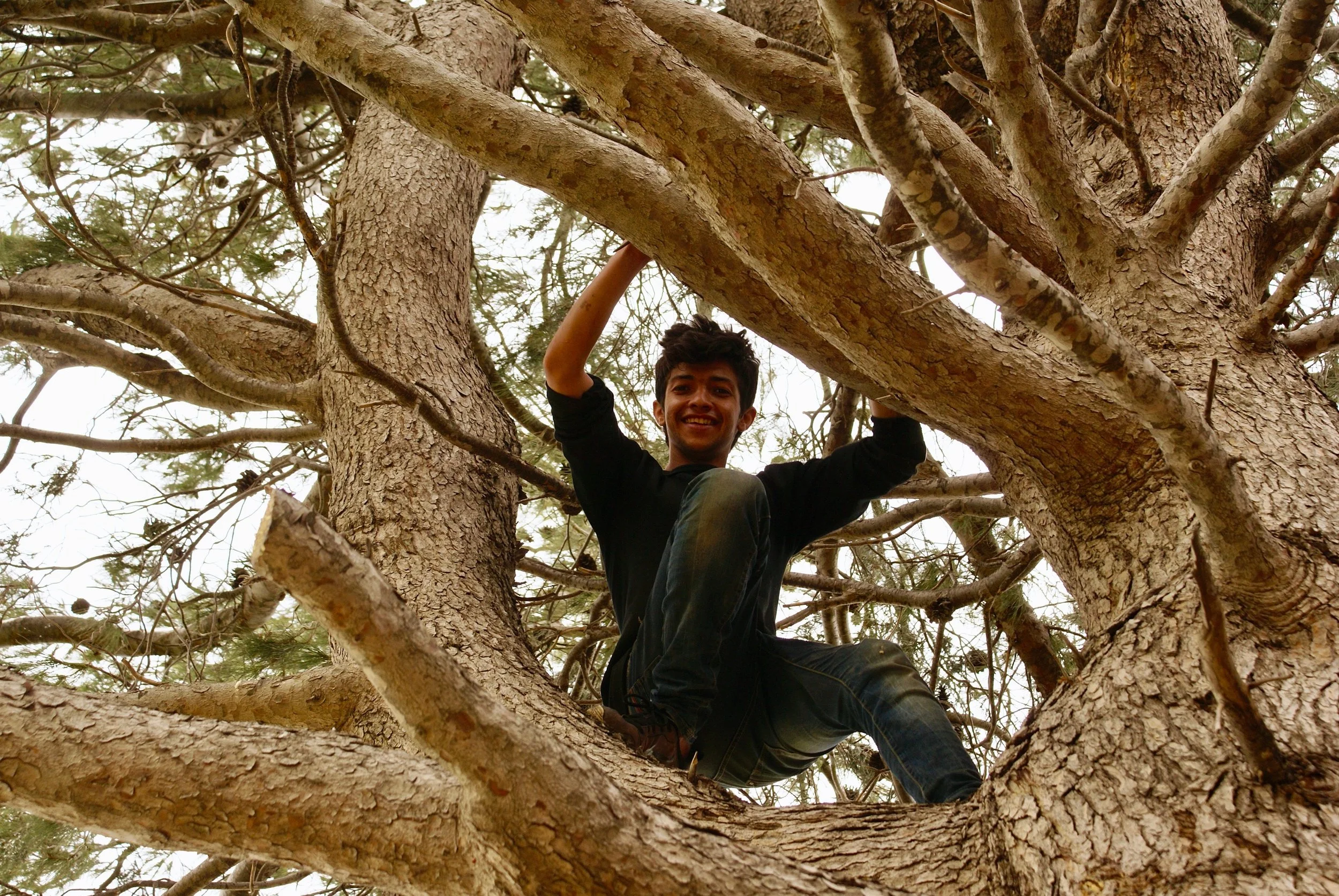 2018_greece_kaparelli_freedom_farm_daniel_tree_1.jpg