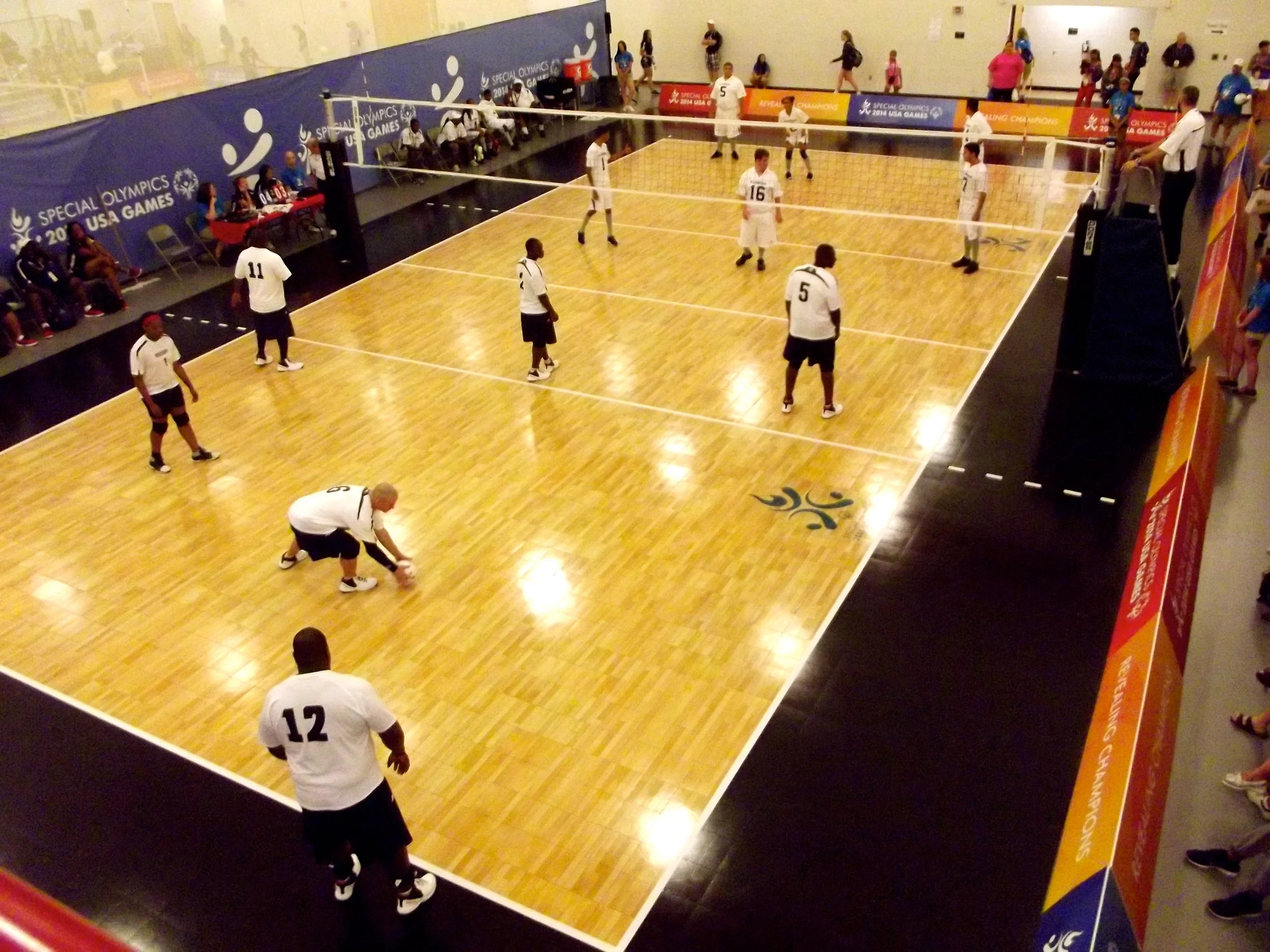 volleyball net rental