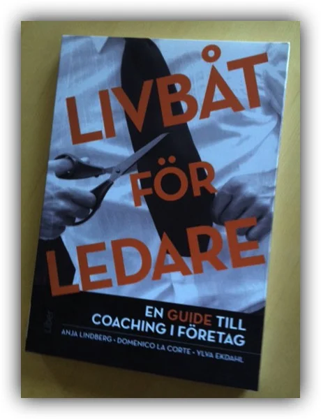 livbåt.jpeg
