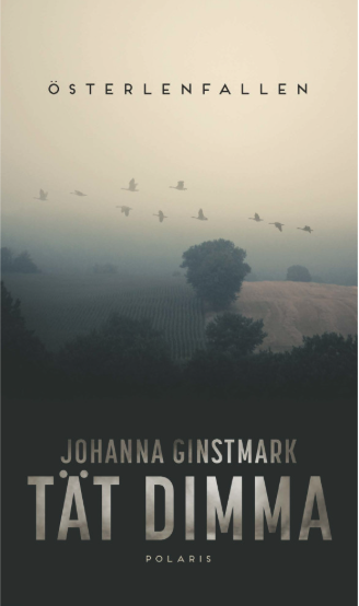 Johanna Ginstmark: Tät dimma