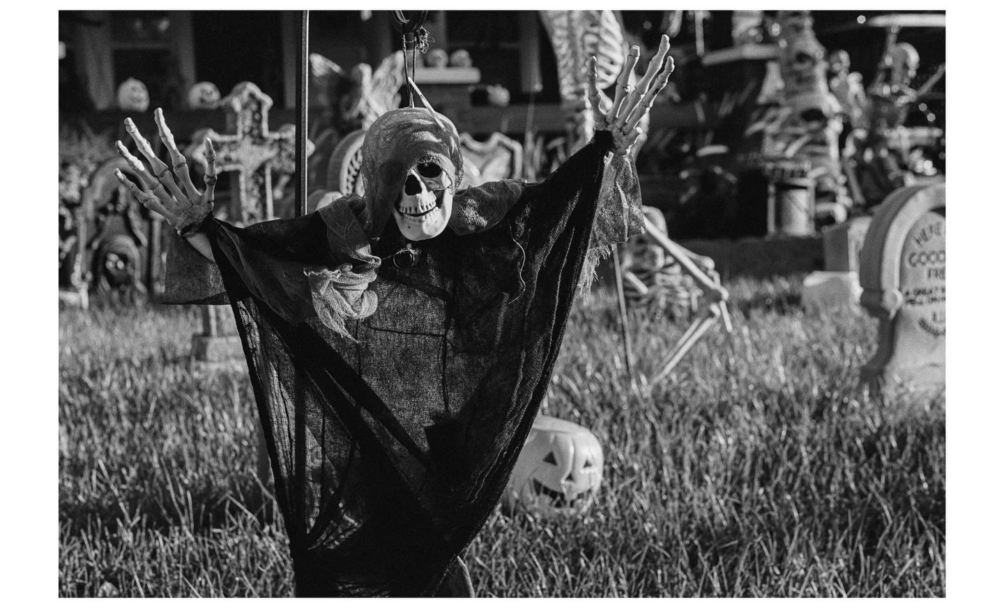 A Tampa All Hallows&rsquo; Eve

🎞️ Kodak Tri-X