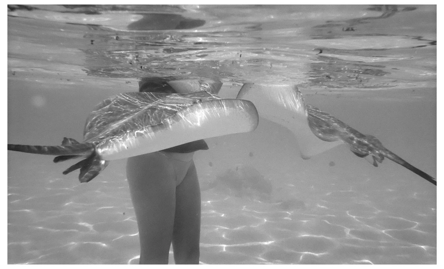 More from French Polynesia and shooting film underwater&hellip;

I wish I would&rsquo;ve had time to get familiar with the Nikonos before our trip but that wasn&rsquo;t in the cards. I have enough shark snout and stingray tail photos to last a lifeti