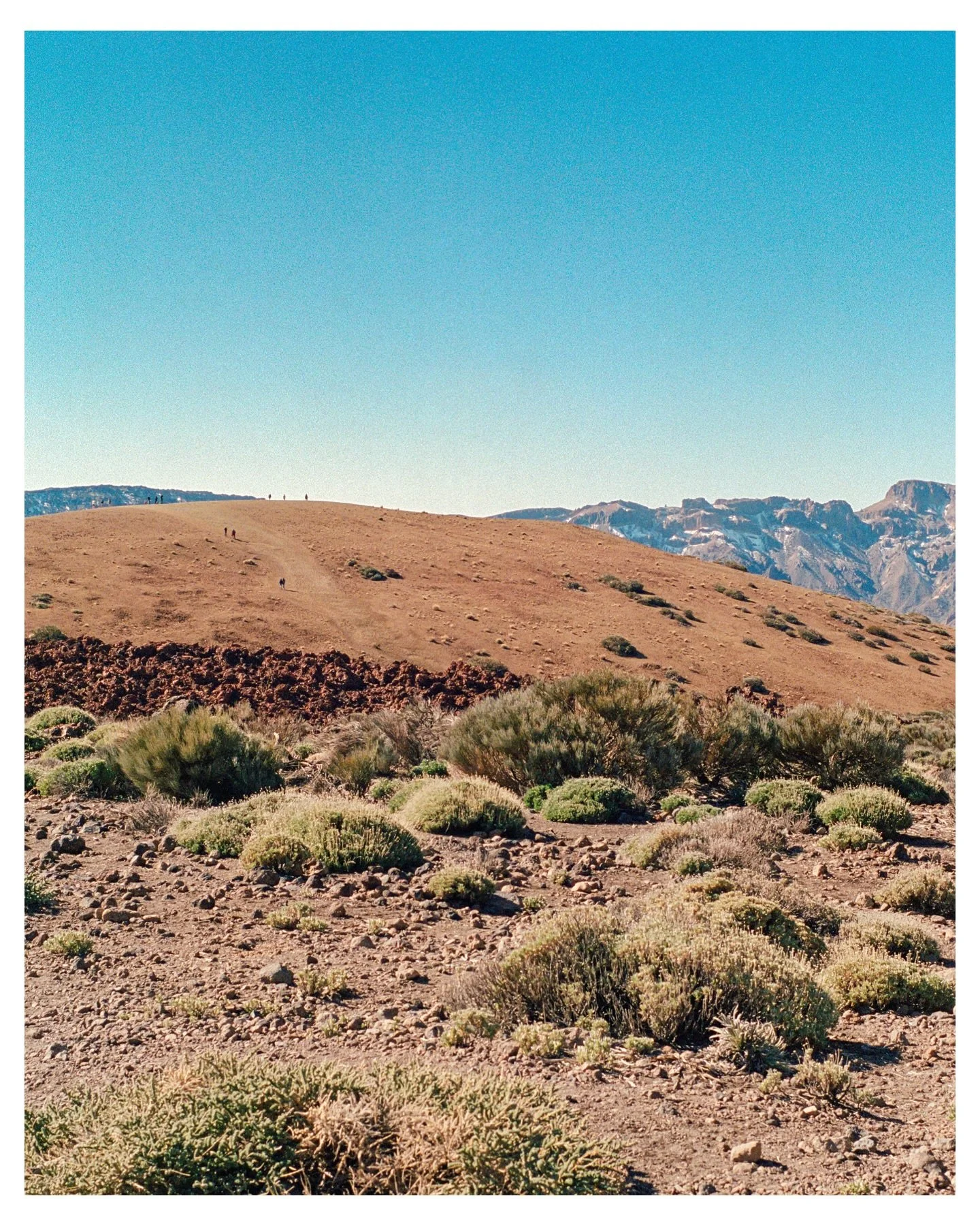 Teide National Park
Minolta X700 | Kodak Portra 400 🎞️

📝 Did you know that the highest peak in Spain is not on the Spanish mainland but 1700 kilometers away on the island of Tenerife?

#kodakprofessional #minoltagang #portra400 #loadfilm #analogfi