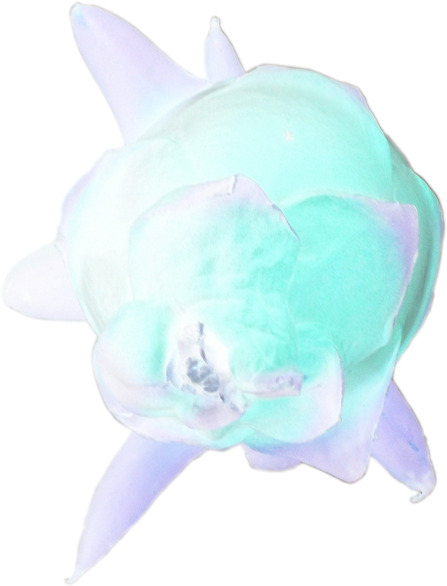 fruitend2-01.png