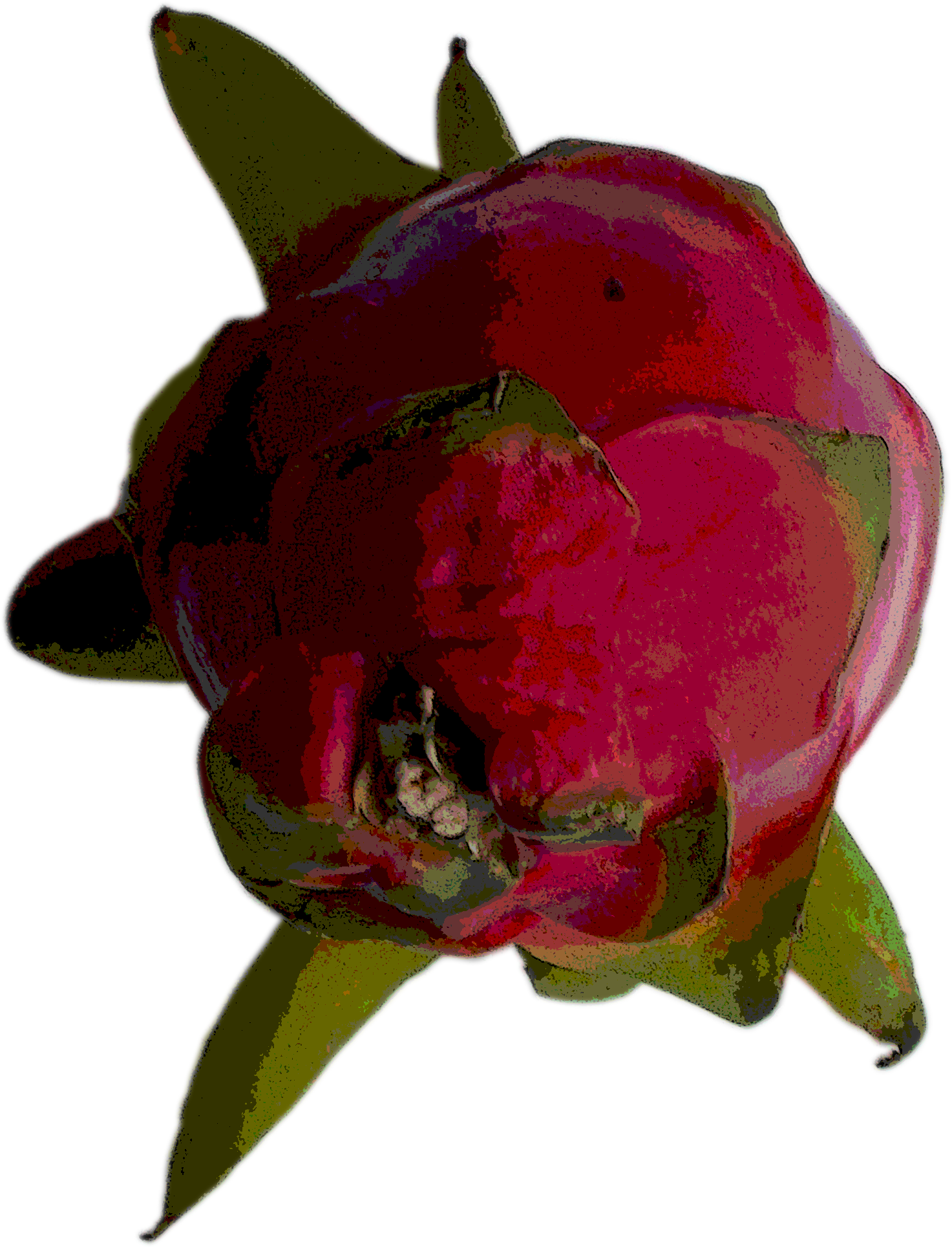 fruitend4-01.png