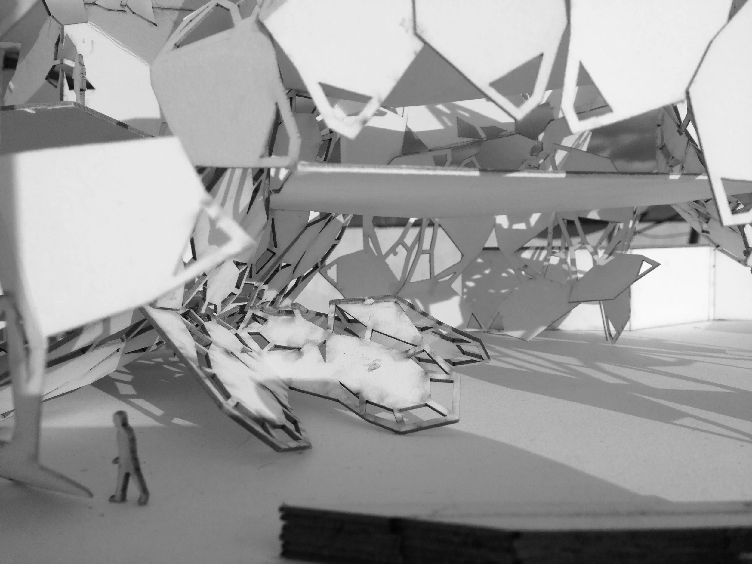 MODELPHOTOTWO copy.jpg