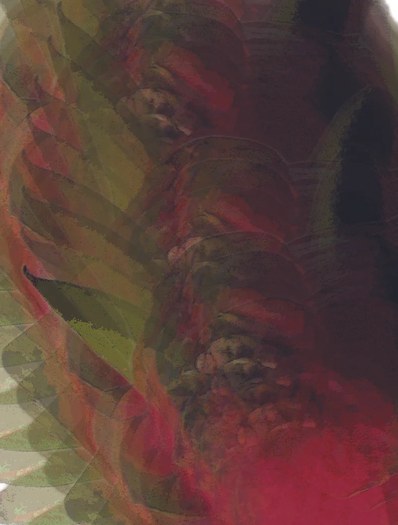 FRUIT-01.jpg