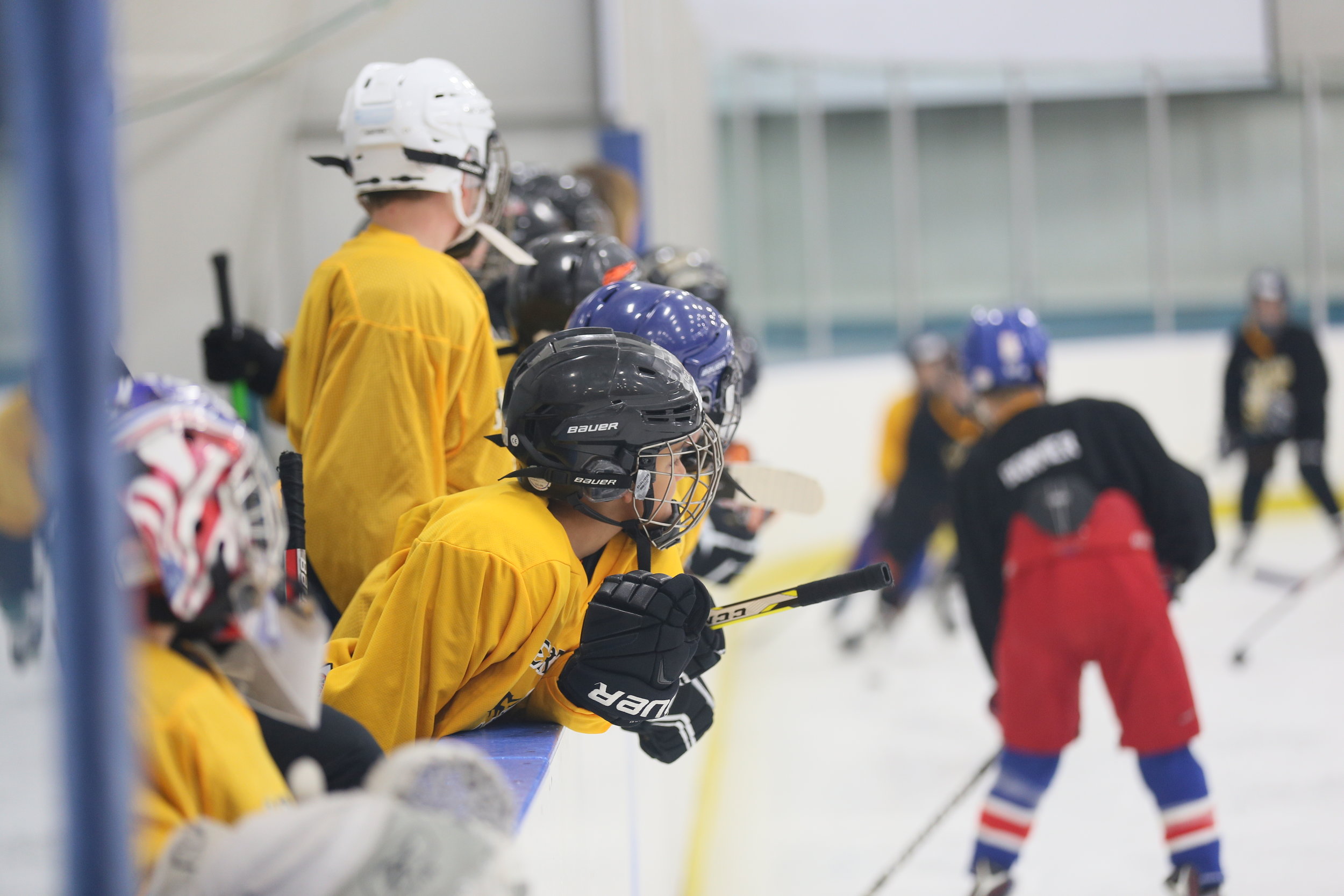 Hockey Camps for Youth Heartland Hockey Camp