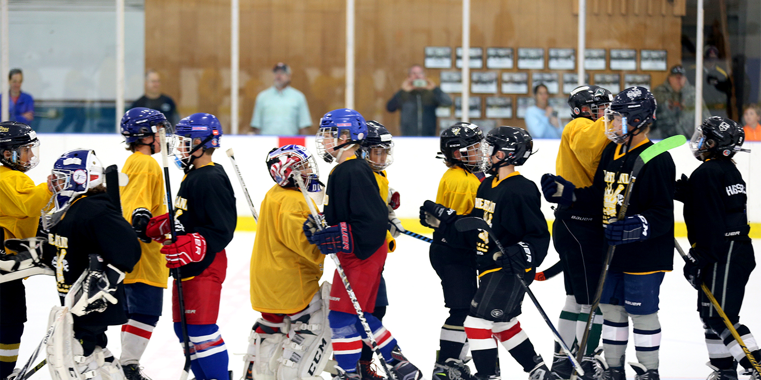 Request-A-Hockey-Camp-Brochure.jpg