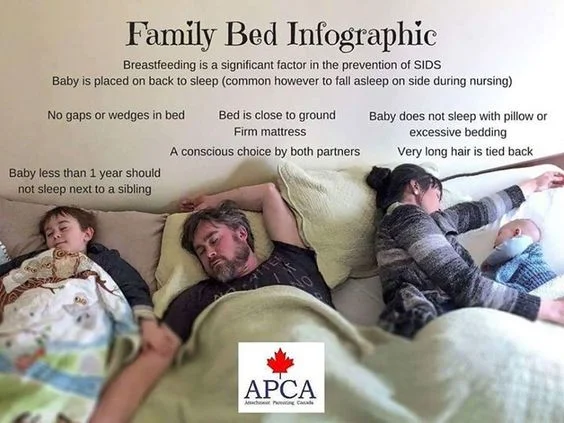 family bed infographic.jpg
