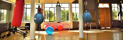 Image Credit: SOHO Fitness