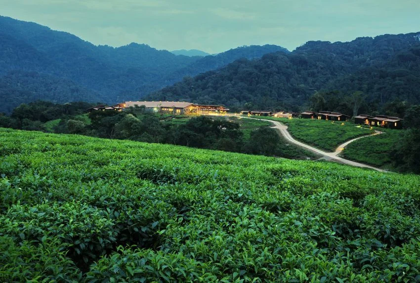 Photo Photo: Nyungwe Forest Lodge