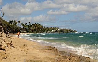3_4_Diamond_Head_Beach_Park.jpeg