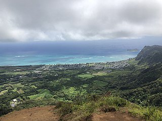 4_6_Kuliouou_Ridge_Trail.jpeg