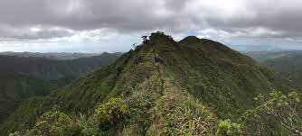 6_4_Aiea_Loop_Trail.jpeg