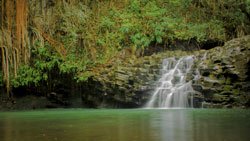 10_1_Twin_Falls_Maui_Waterfall.jpeg