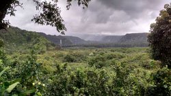 10_5_Wailua_Valley_State_Wayside.jpeg