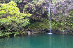 10_7_Puaa_Kaa_State_Wayside.jpeg